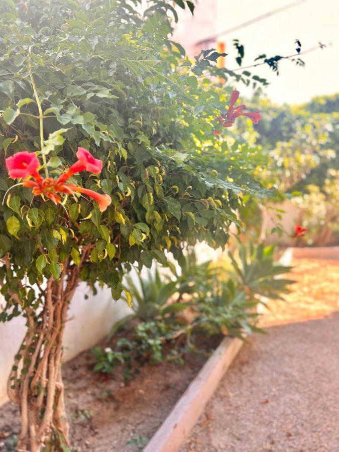 Sweet Sandy - 1 Minute Walk To Mediterranean Beaches Apartament Santa Pola